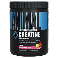 Animal, Creatine XL, креатин у порошку, фруктовий пунш, 279 г (9,84 унції) Дніпр