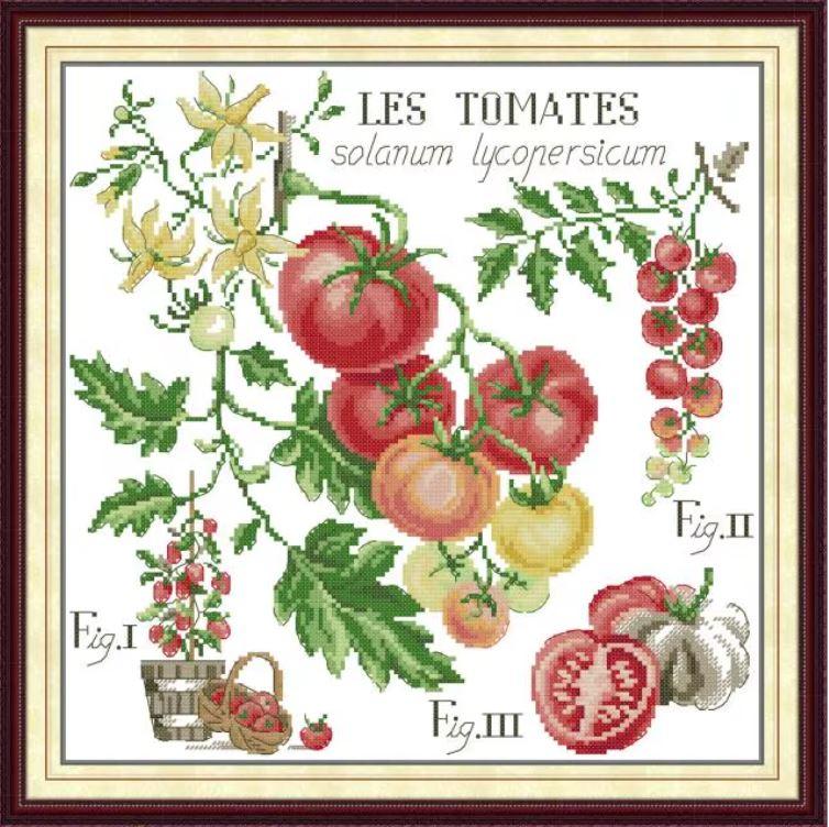 Набір для вишивання за нанесеною на канву схемою “Tomatoes 3”. AIDA 14CT printed , 36*36см., фото 1