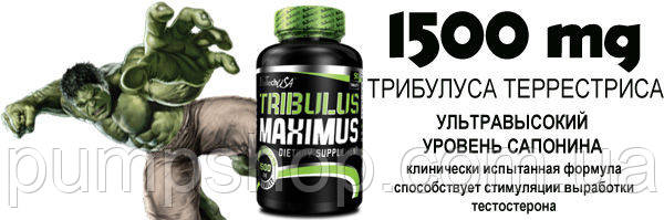 Трибулус BioTech USA Tribulus Maximus - 90 таб., фото 2