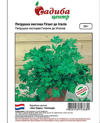 Насіння петрушки Гігант де Італія (Hem Zaden / САДИБА ЦЕНТР) 20 г — рання, листова, великі листя, фото 2