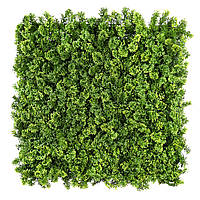 Декоративне зелене покриття-фітостіна "Мох", Engard 50х50 см (GCK-14)
