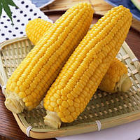 Кукуруза "Джубили"