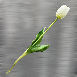 Штучний тюльпан гелевий 37 см білий