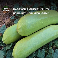 Кабачок Аміно F1 - ранньостиглий ліванський - ( 5 шт zip-пакет)