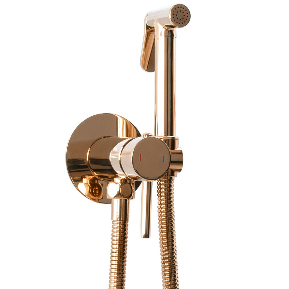 Гігієнічний набір Rea Loop rose gold (REA-B6523)