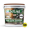 Лак для дерева акриловий Skyline Wood Прозорий Глянцевий 5л, фото 3