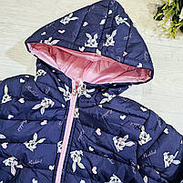 Куртки для дівчаток оптом, S&D, 1-5 років, арт. CH-6828, фото 8