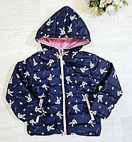 Куртки для дівчаток оптом, S&D, 1-5 років, арт. CH-6828, фото 10