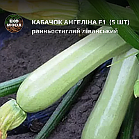 Кабачок Ангеліна F1 - ранньостиглий ліванський - ( 5 шт zip-пакет)
