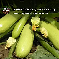 Кабачок Іскандер F1 - ультраранній ліванський - ( 5 шт zip-пакет)