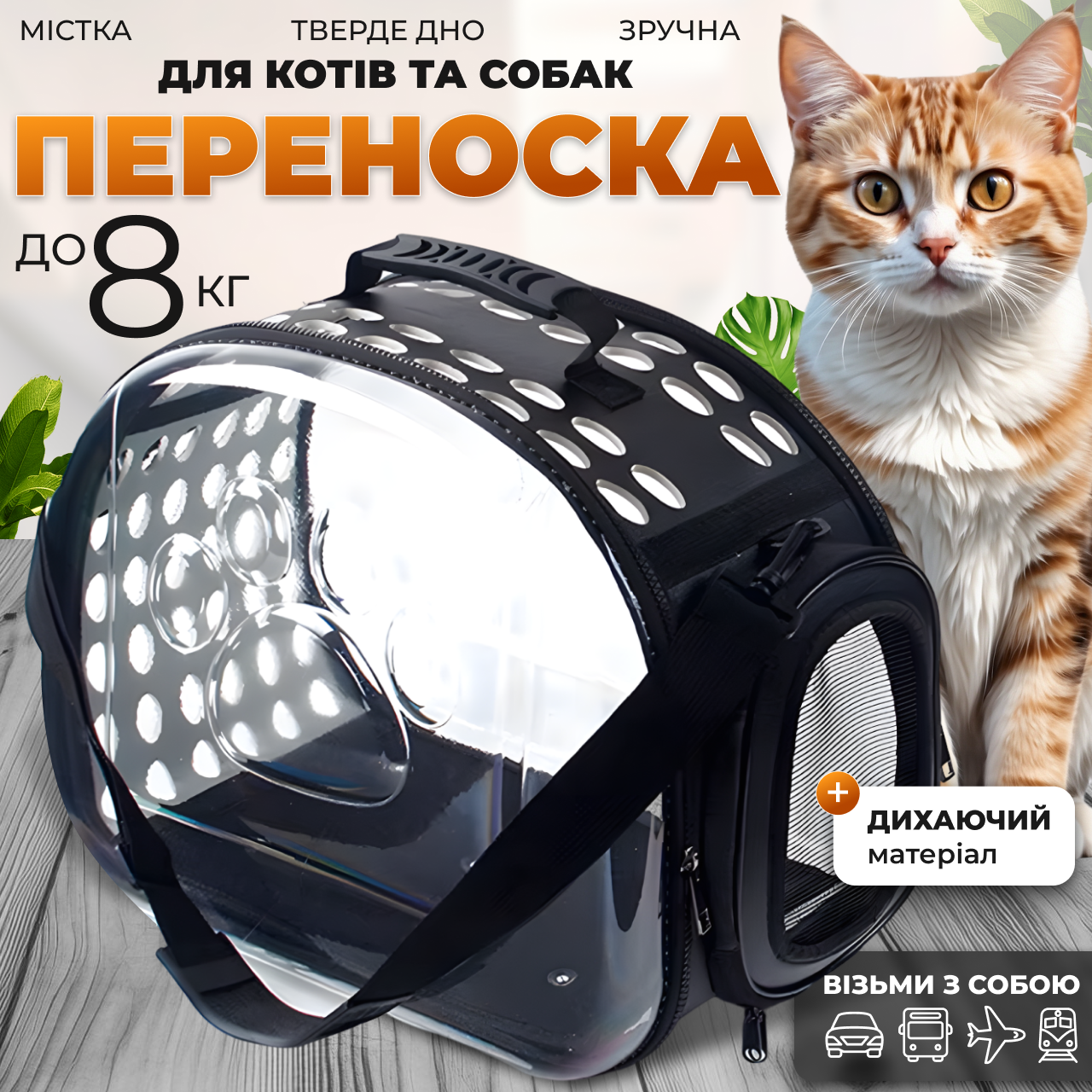 Сумка переноска прозора для котів кішок маленьких собак чорна