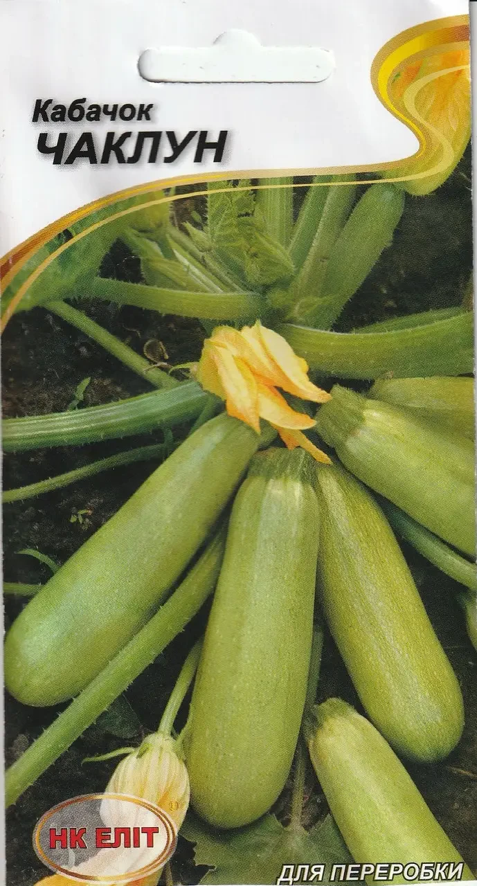 Насіння кабачка Чаклун 20 шт. НК Еліт