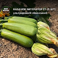 Кабачок Імператор F1 - ультраранній ліванський - ( 5 шт zip-пакет)
