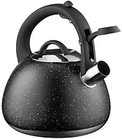 Чайник Ardesto Gemini 2.5л (AR1957KS) Black