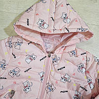 Вітровка для дівчат оптом, S&D, 1-5 років, № СН-6611, фото 3