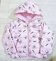 Вітровка для дівчат оптом, S&D, 1-5 років, № СН-6611, фото 2