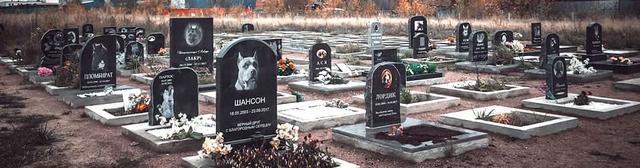 Памятники животным