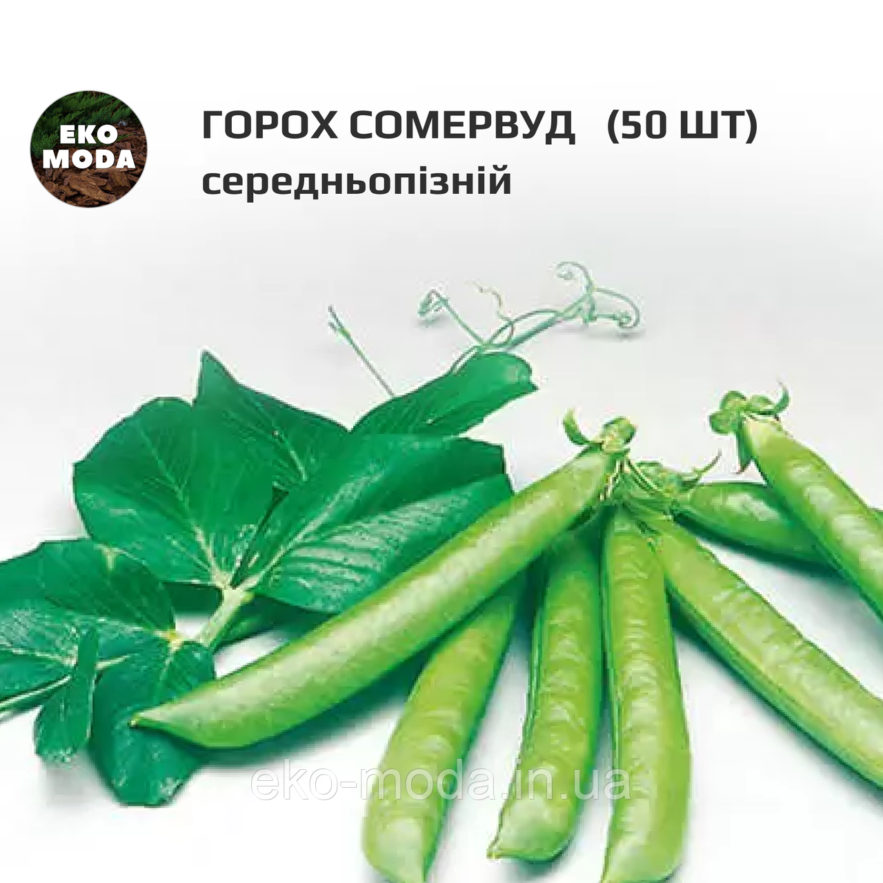 Горох Сомервуд  - середньопізній - ( 50 шт zip-пакет)