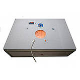 Побутовий інкубатор  з механічним переворотом і цифровим терморегулятором, 70, для господарства, фото 3