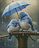 (Електронна)Схема для вишивання хрестиком або петитом: "ПТАХИ ПІД ПАРАСОЛЬКОЮ", фото 2