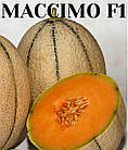 Диня Массімо F1 5 шт, фото 2