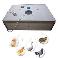 Побутовий інкубатор 70, ручний переворот, цифровий, куточок для свійської птиці
