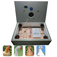 Побутовий інкубатор  з механічним переворотом і цифровим терморегулятором, 70, для господарства