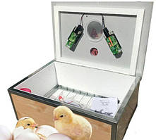 Цифровий інкубатор з механічним переворотом у пластиковому корпусі ,70 яєць, для господарства