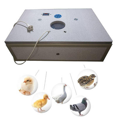 Инкубатор | купить недорого, на Prom | Украина