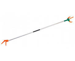 Плодосімник трипалий 2 м