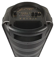 Музична колонка з пультом та мікрофоном портативна Bluetooth RX-8228, фото 7