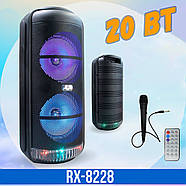 Музична колонка з пультом та мікрофоном портативна Bluetooth RX-8228, фото 2