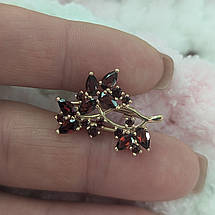 Суцвіття брошка, фото 5