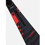 Гірські лижі Volkl Peregrine 72 Grey Red + rMotion3 12 GW 2025, фото 2