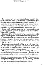 Книга «Лірика. Притчі. Газелі. Рубаї». Автор - Джалаледдін Румі, фото 3