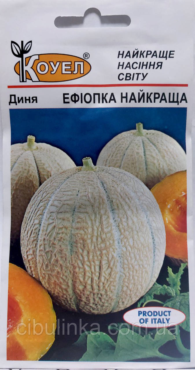 Диня Єфіопка справжня Італійська 2 г, фото 1