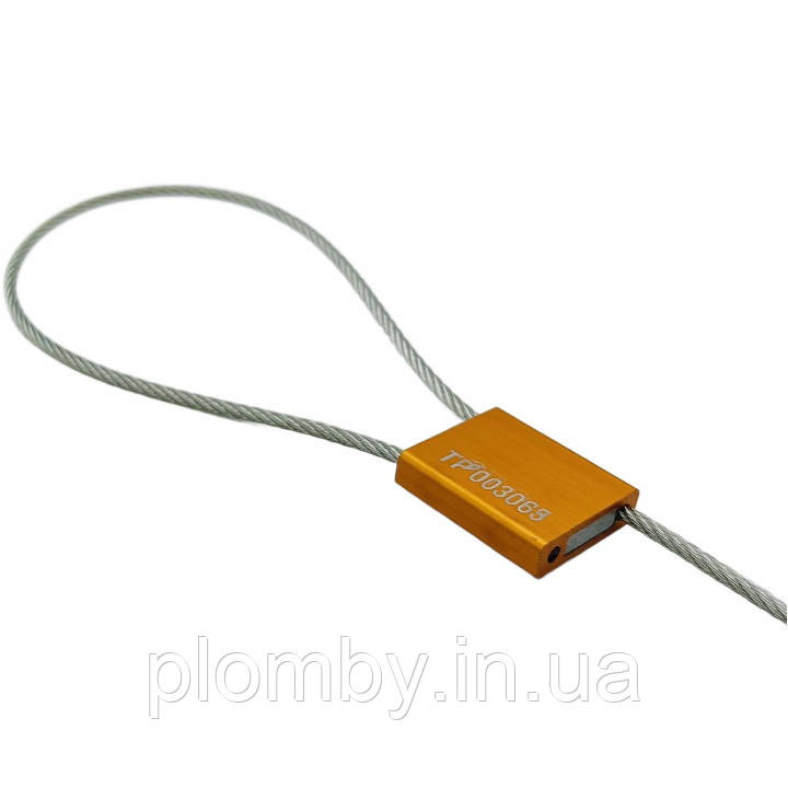 ЗПП трос Ø 2,5мм, довжина тросу 550 мм