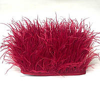 50 см - Пір'я страуса на стрічці 8-10 см - бордовий