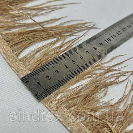 50 см - Пір'я страуса на стрічці 8-10 см - капучино, фото 3
