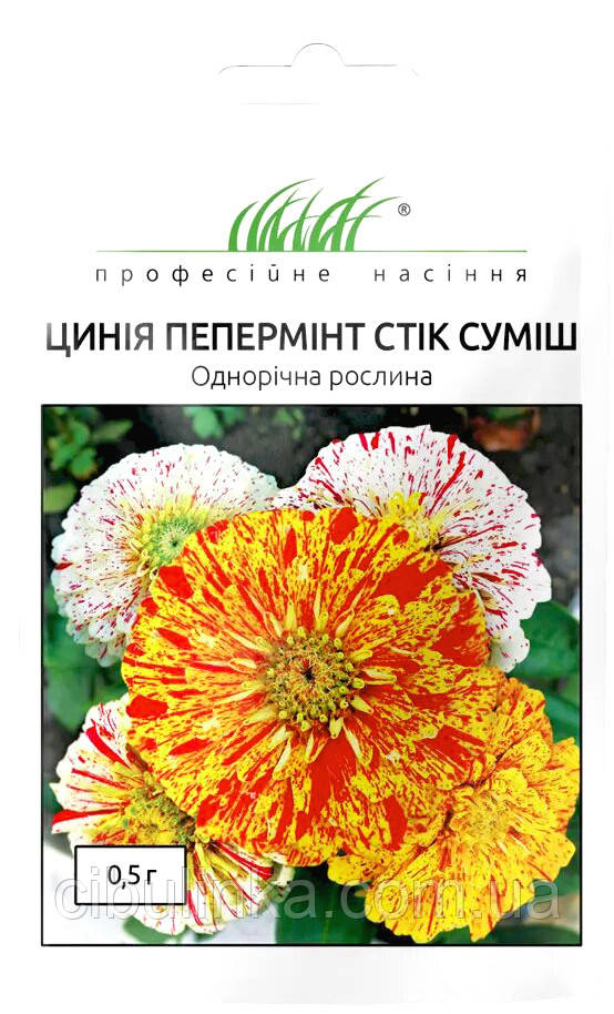 Насіння Квіти Цінія (майори) Пепермінт стік Hem Zaden 0,5 г, фото 1