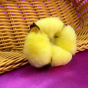 Натуральні квітки бавовни з пофарбованим волокном 5 см - жовтий