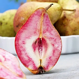 Груша червоном'яса "Блютберн" (це одна з найцікавіших новинок), фото 2