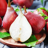 Новинка! Груша "Ред Сенсейшн" (ранньо-осінній сорт, канадської селекції)