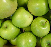 Яблуня "Гренні Сміт" (дерево низьке, має густу крону у вигляді піраміди)