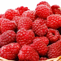 Малина "Либідь" (кущі сорту компактні, що полегшує догляд)