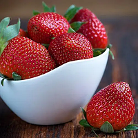 Полуниця "Спокуса" 10шт. (здатна плодоносити на невкорінених вусах)