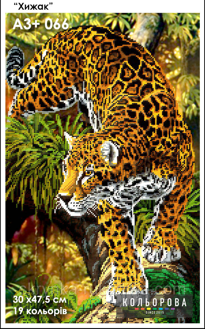 Картина для вишивки бісером А3+ 066 Рись Хижак ТМ Кольорова