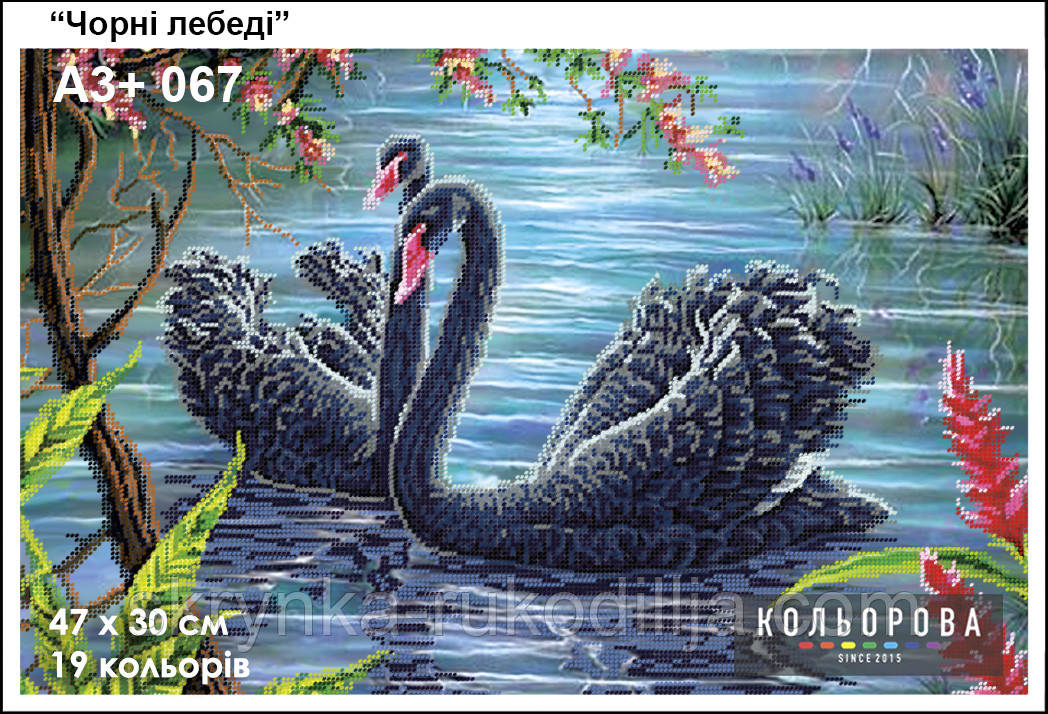 Картина для вишивки бісером А3+ 067 Чорні лебеді ТМ Кольорова