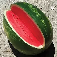 Кавун Атаман F1 (Італія) 10 шт