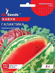 Кавун Галактика 5г